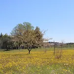 아파트 Mirjana *