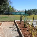 Mirjana بولا