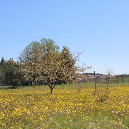 Appartement Mirjana *